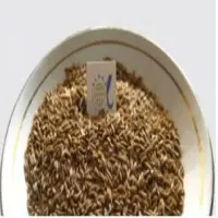 Cumin Seeds